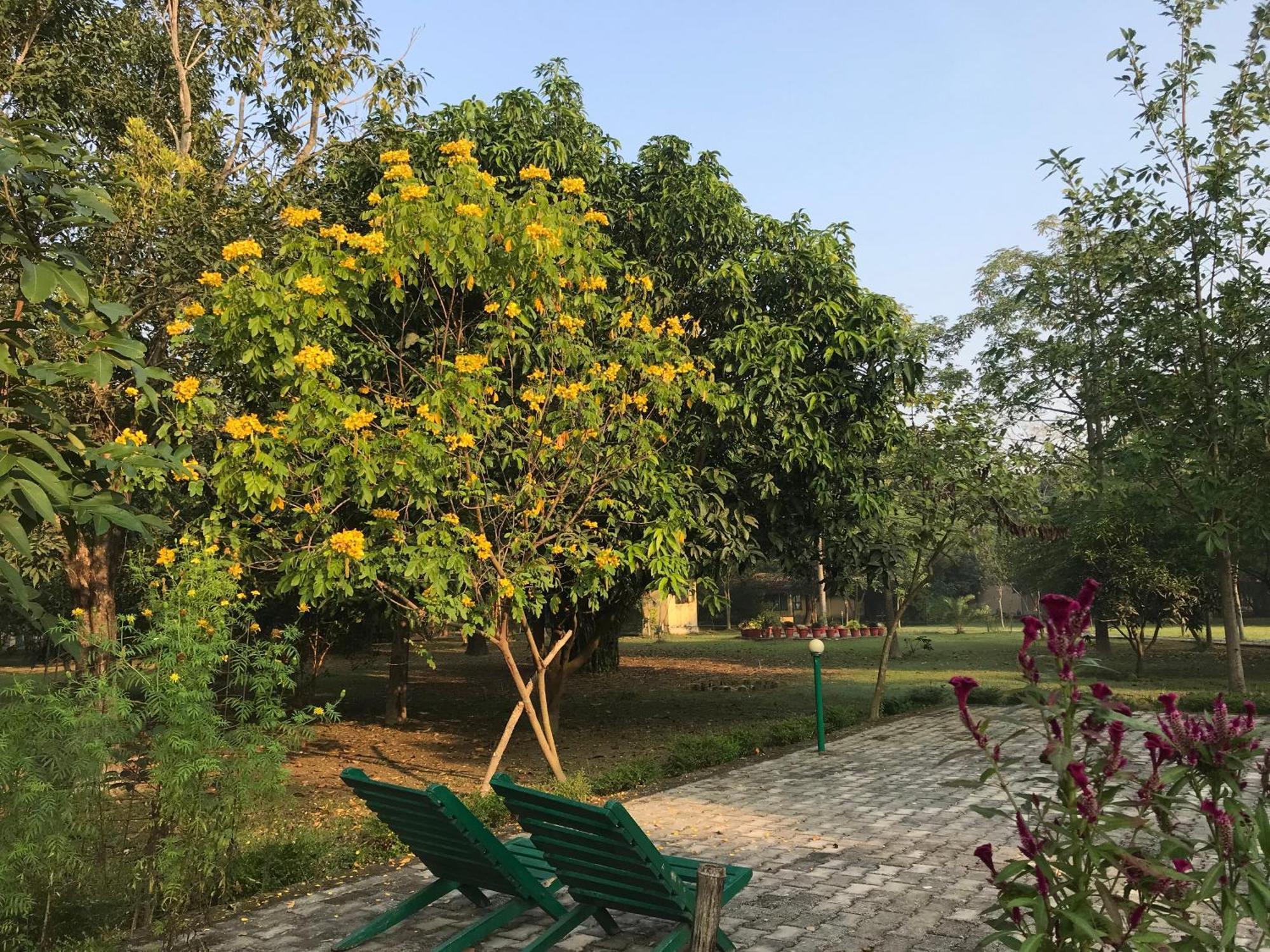 Lumbini Buddha Garden Resort Exterior foto